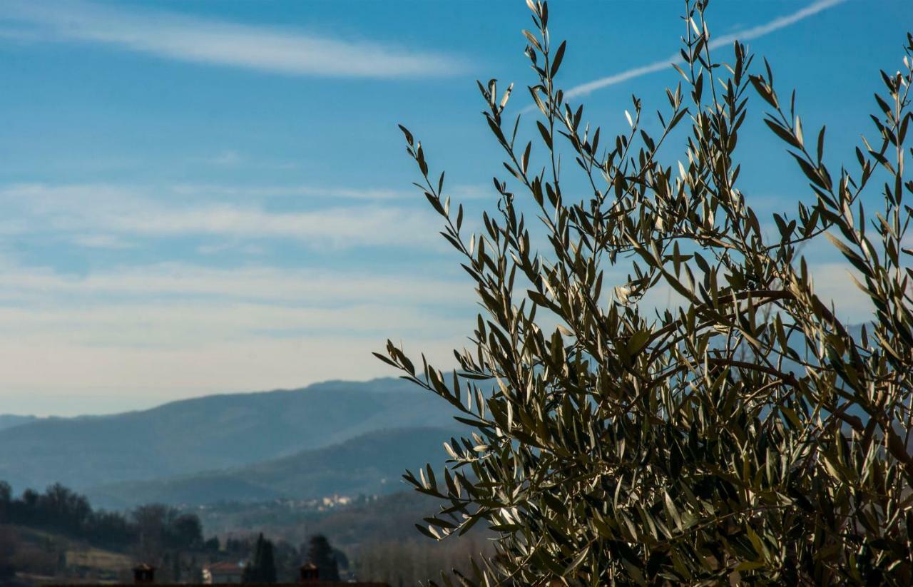 "La Casetta" Pratovecchio Dış mekan fotoğraf